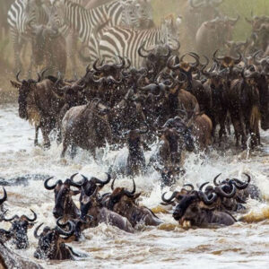 Great Migration